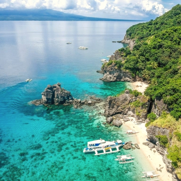 Meet your Posher, Esperanza - Picture 1 of 1